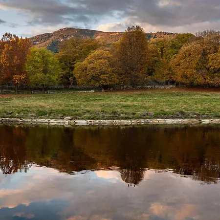 Casa Ypsilon Olive Oil Appartamento