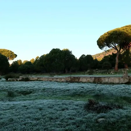 Casa Ypsilon Olive Oil Appartamento Sotillo de la Adrada