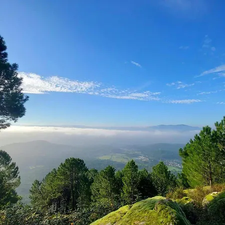 Casa Ypsilon Olive Oil Appartamento *