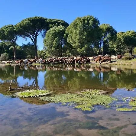 Appartamento Casa Ypsilon Olive Oil *