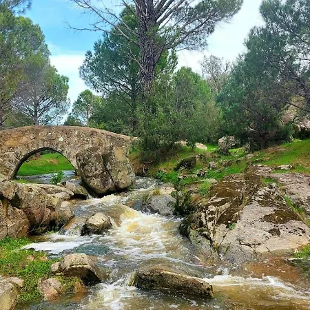 Casa Ypsilon Olive Oil Sotillo de la Adrada