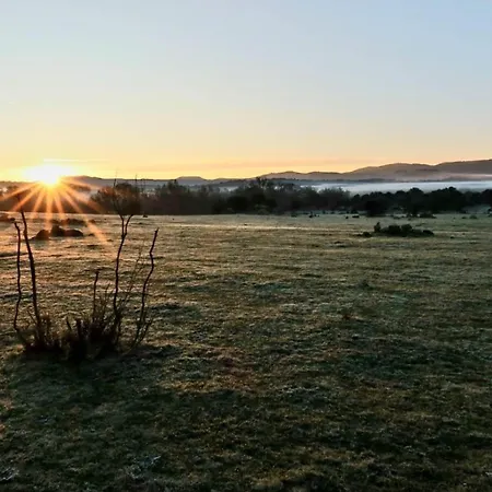 Casa Ypsilon Olive Oil