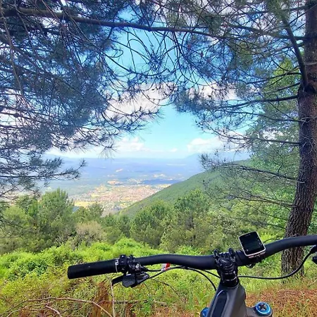 Appartamento Casa Ypsilon Olive Oil