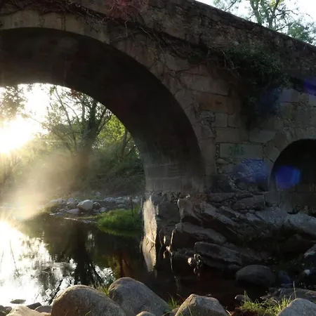 Casa Ypsilon Olive Oil Sotillo de la Adrada