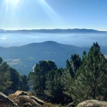 Appartamento Casa Ypsilon Olive Oil