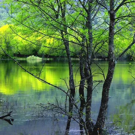 Casa Ypsilon Olive Oil * Sotillo de la Adrada