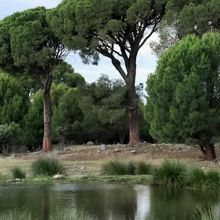 Casa Ypsilon Olive Oil Appartamento