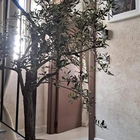 Apartamento Casa Ypsilon Olive Oil
