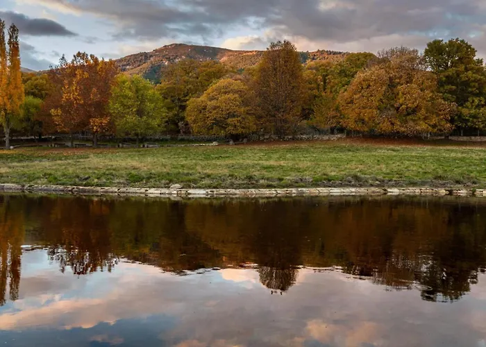 Casa Ypsilon Olive Oil 아파트