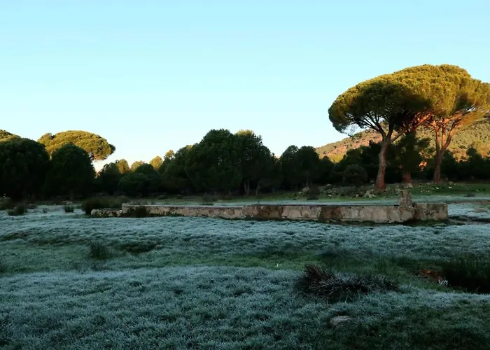 Casa Ypsilon Olive Oil 아파트 소티요 데 라 아드라다