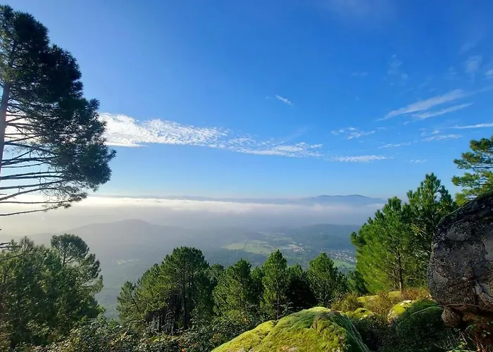 Casa Ypsilon Olive Oil 아파트 *