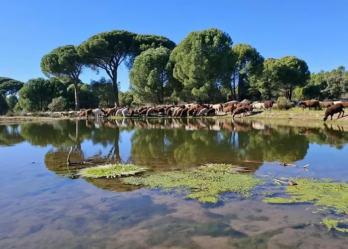 아파트 Casa Ypsilon Olive Oil *