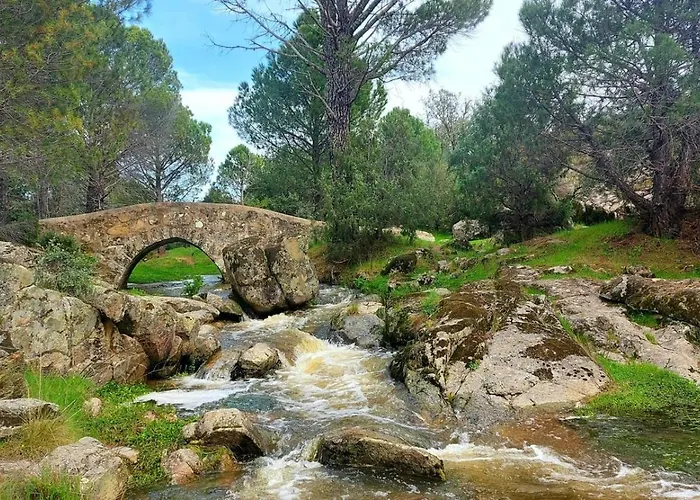 Casa Ypsilon Olive Oil 소티요 데 라 아드라다