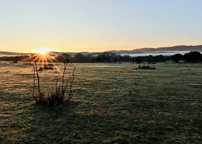 Casa Ypsilon Olive Oil