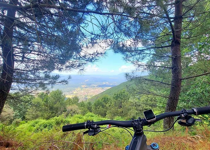 아파트 Casa Ypsilon Olive Oil