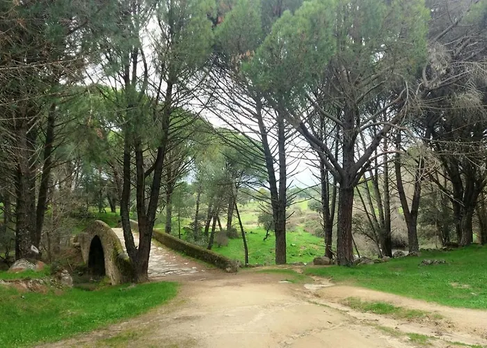 Casa Ypsilon Olive Oil 아파트 *