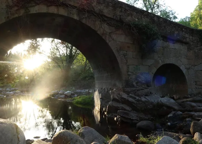 Casa Ypsilon Olive Oil 소티요 데 라 아드라다