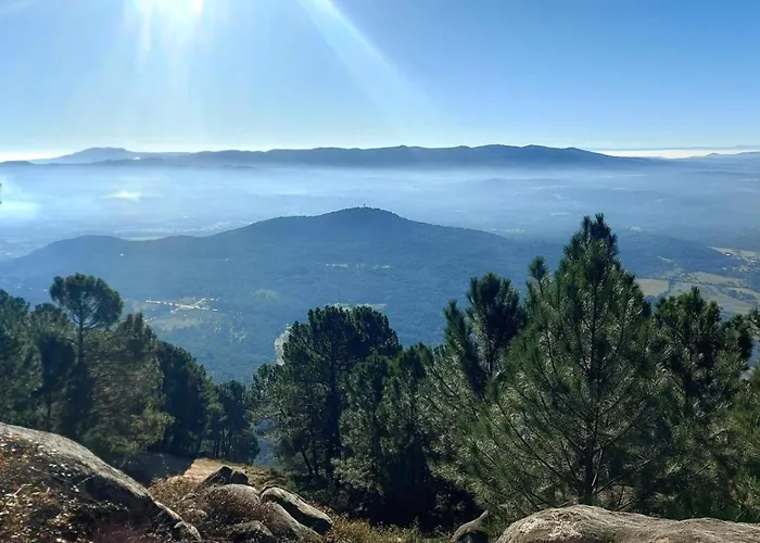 아파트 Casa Ypsilon Olive Oil