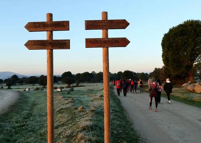 Casa Ypsilon Olive Oil 아파트 소티요 데 라 아드라다