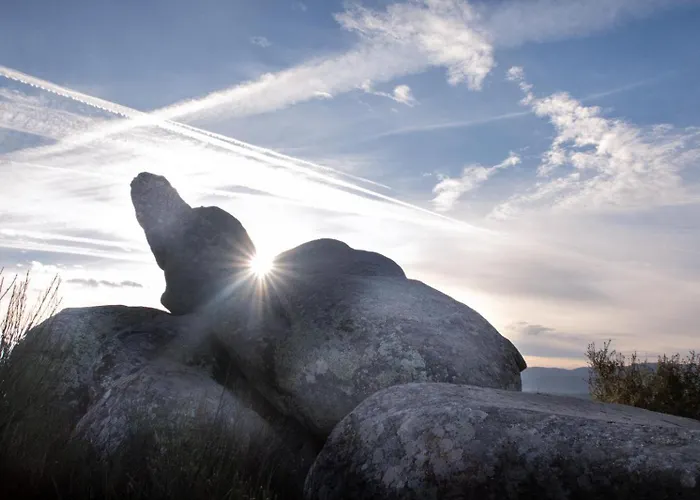 아파트 Casa Ypsilon Olive Oil 소티요 데 라 아드라다