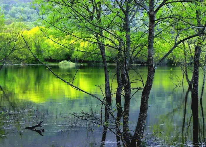 Casa Ypsilon Olive Oil * 소티요 데 라 아드라다