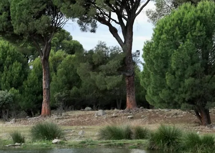 Casa Ypsilon Olive Oil 아파트