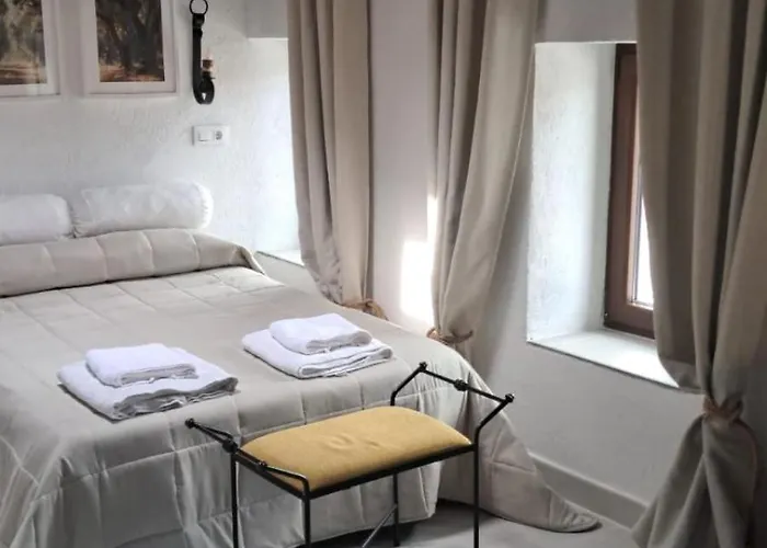 Casa Ypsilon Olive Oil