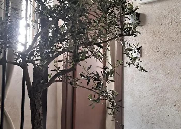 Apartment Casa Ypsilon Olive Oil